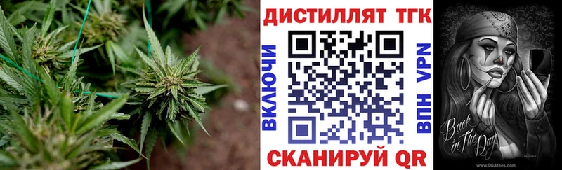 Дистиллят ТГК концентрат  mega ссылки  Белый 
